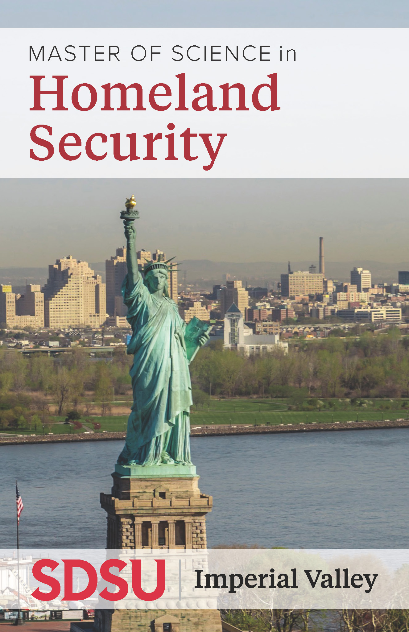 Aerial photo os Statue of Liberty with the city in the background
